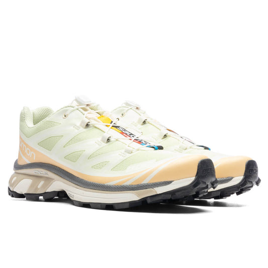 XT-6 - Aloe Wash/Hazelnut/Feather Grey