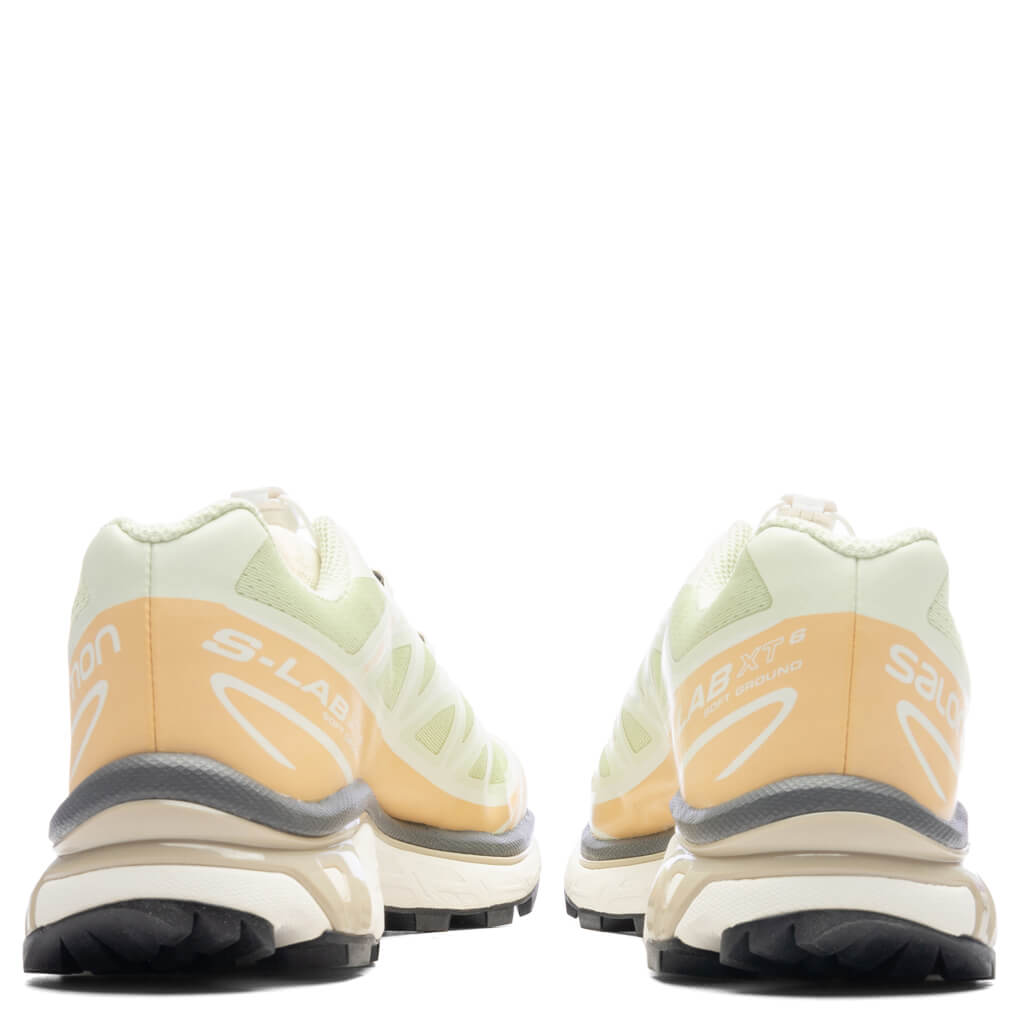 XT-6 - Aloe Wash/Hazelnut/Feather Grey