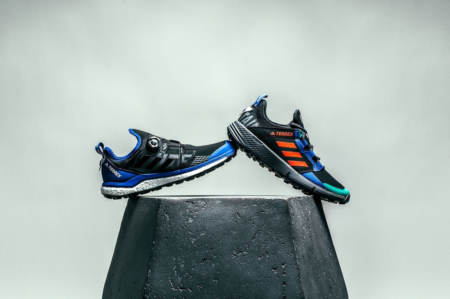 adidas Originals x White Mountaineering Terrex Agravic BOA - Core Black/Collegiate Royal