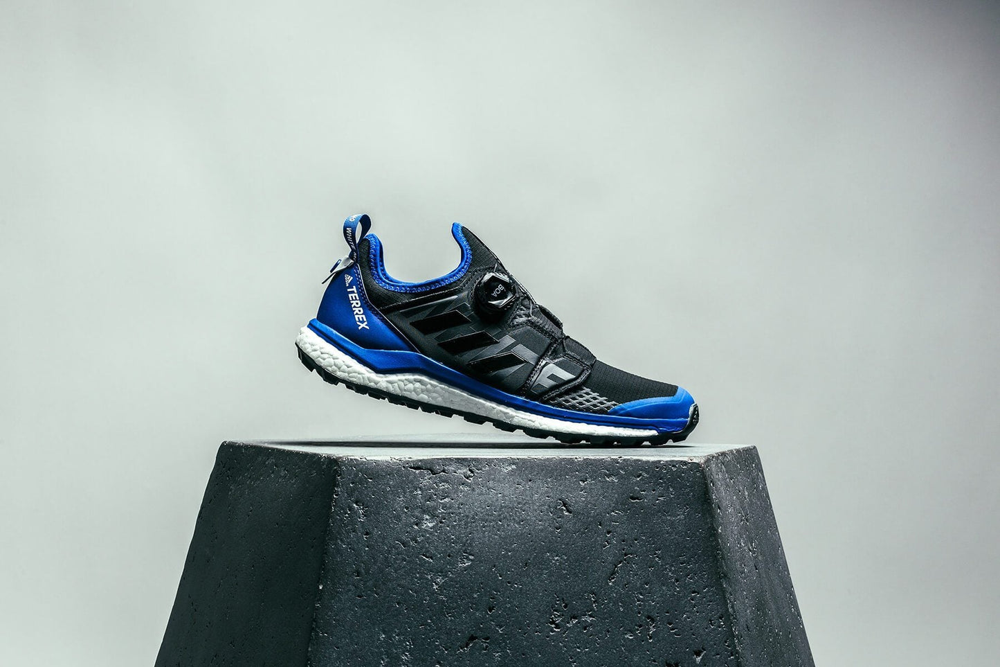 adidas Originals x White Mountaineering Terrex Agravic BOA - Core Black/Collegiate Royal
