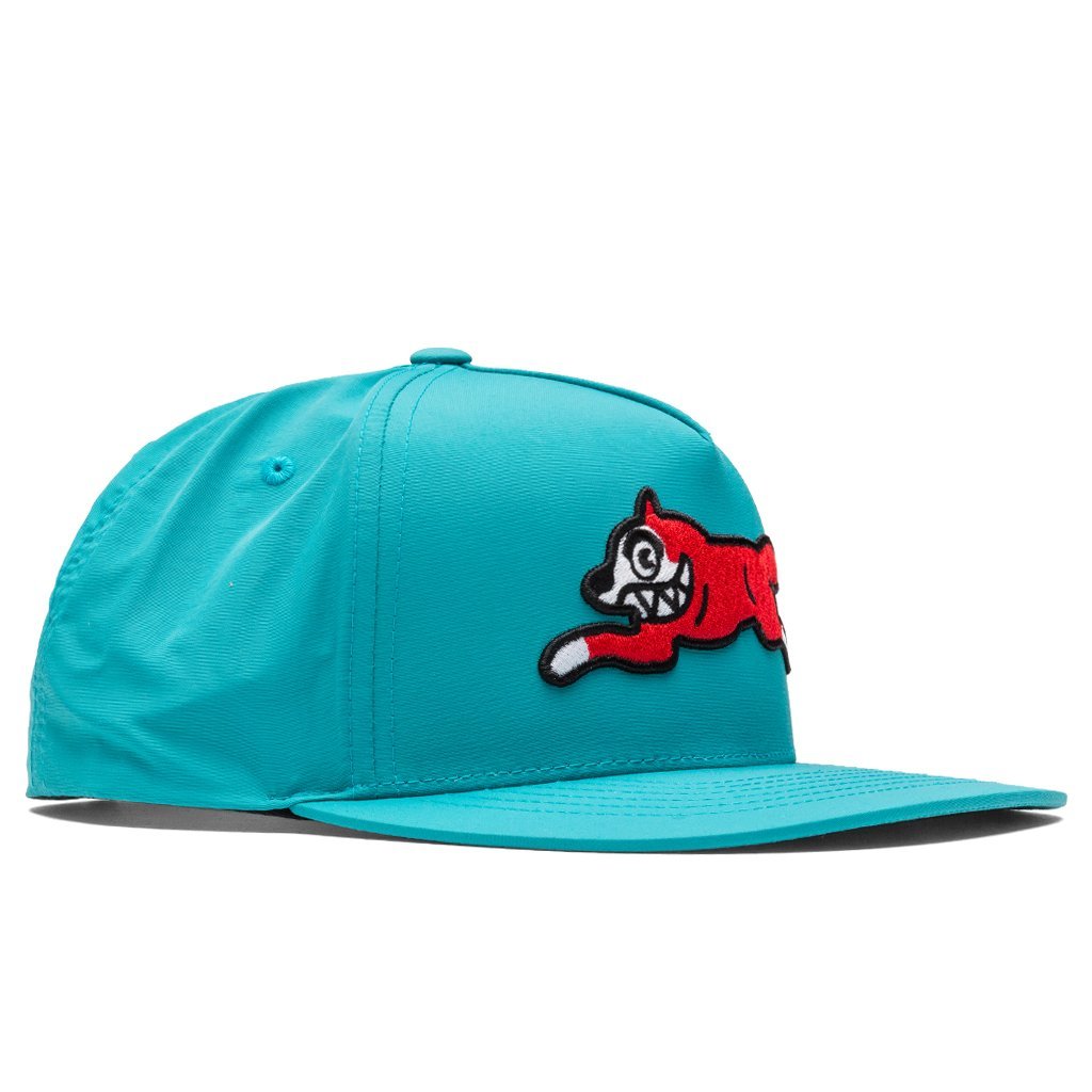Ladd Snapback Hat - Teal