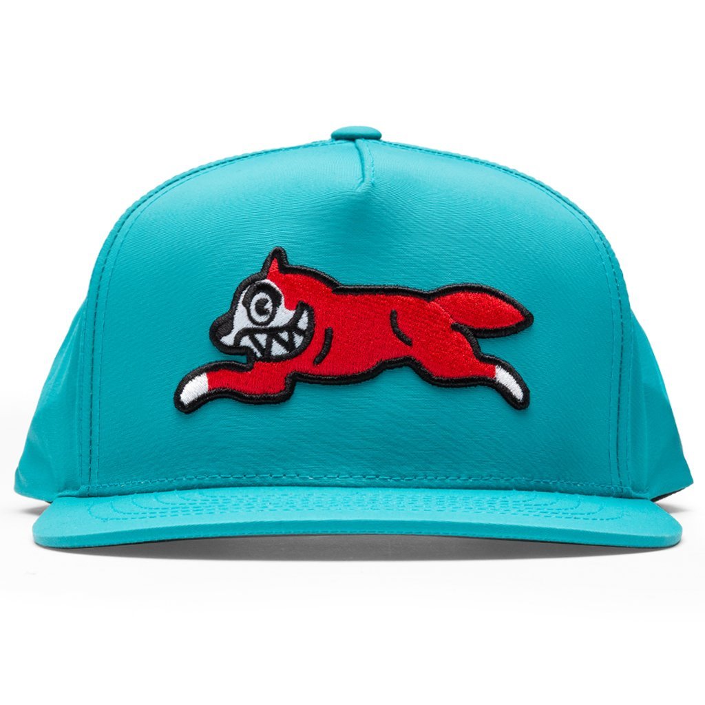 Ladd Snapback Hat - Teal