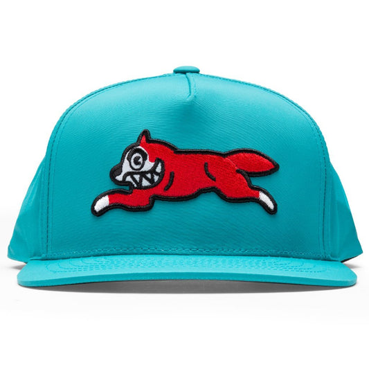 Ladd Snapback Hat - Teal