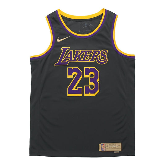 Nike NBA LeBron James Los Angeles Lakers 2020/21 Fan Edition Jersey #23 CN9929-013